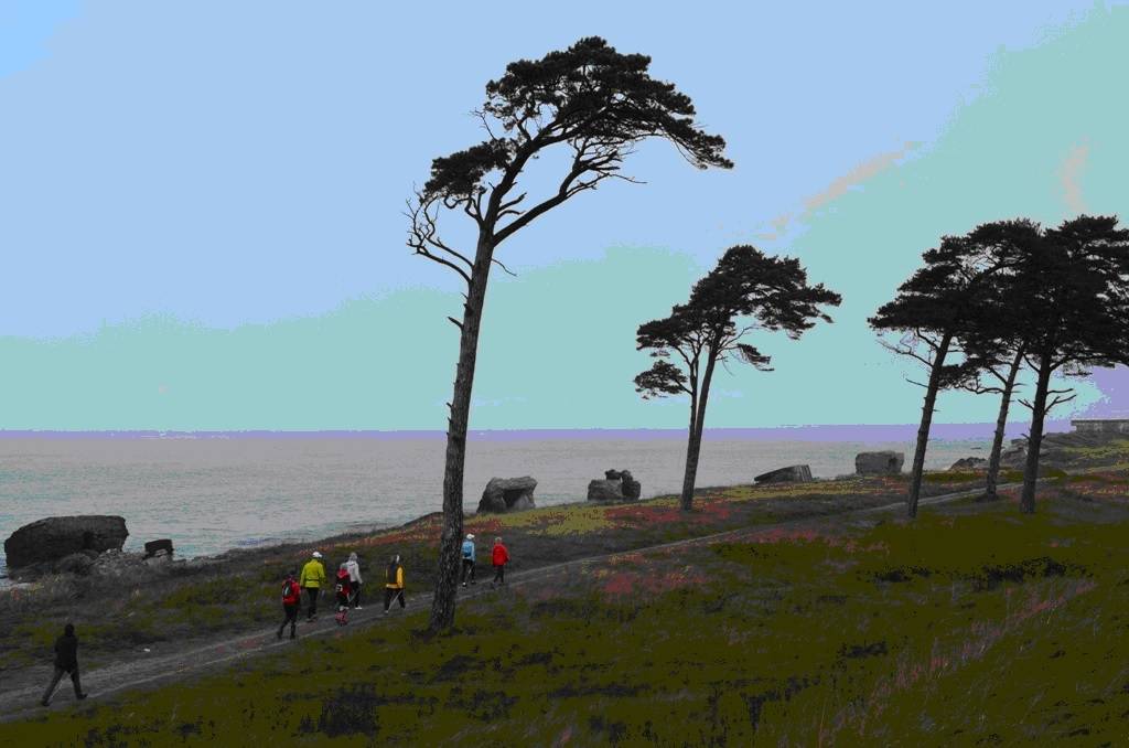 12. oktobrī nūjotājus aicina uz rudens pārgājienu