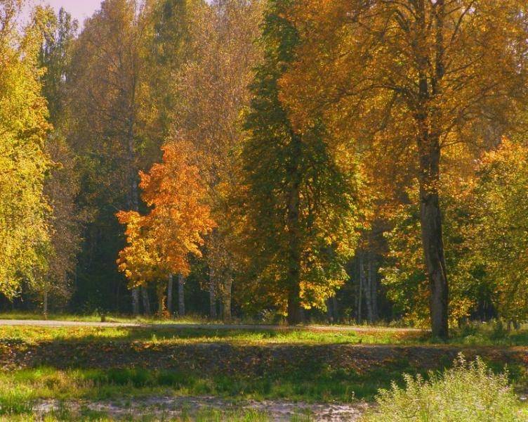 Brīvdienās sola atvasaru; Kurzemē temperatūra var sasniegt pat +15 grādus