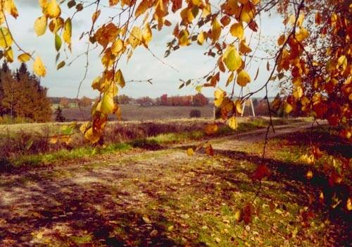 Piektdien pārsvarā apmācies, dažu brīdi uzspīdēs saule