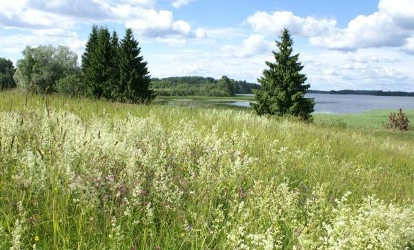 Straujuma: Maksājumi bioloģiskās daudzveidības saglabāšanai bijuši neefektīvi