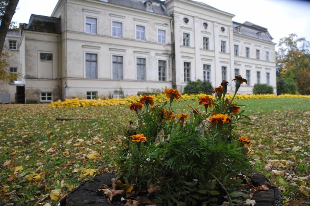 FOTO: Dzērves pamatskolas jubilejā sarūpē dāvanu – Zaļo karogu un himnu