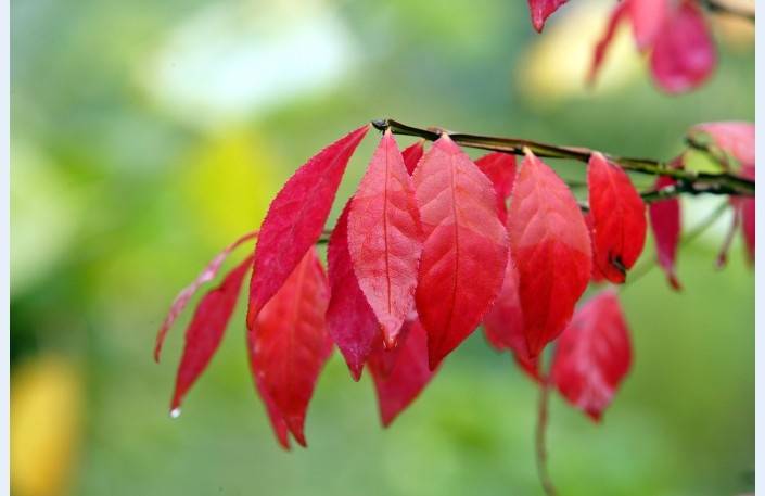 Brīvdienas lielākoties tiks aizvadītas bez nokrišņiem