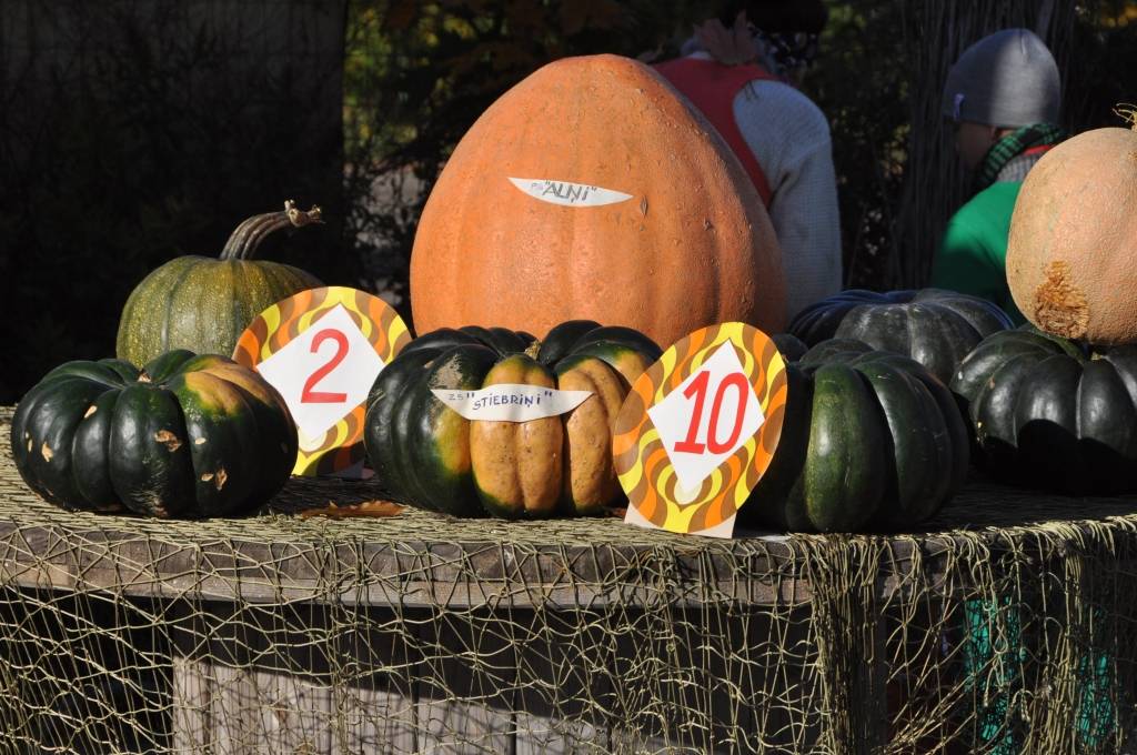 FOTO: Lauku sēta pilsētā