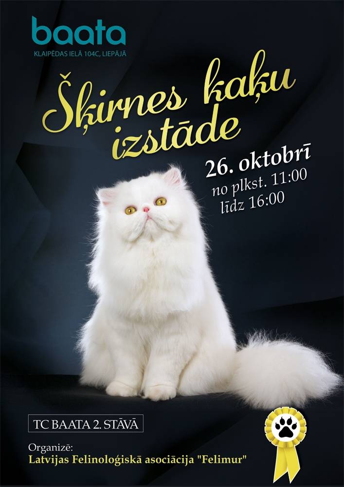 Liepājā būs aplūkojama šķirnes kaķu izstāde