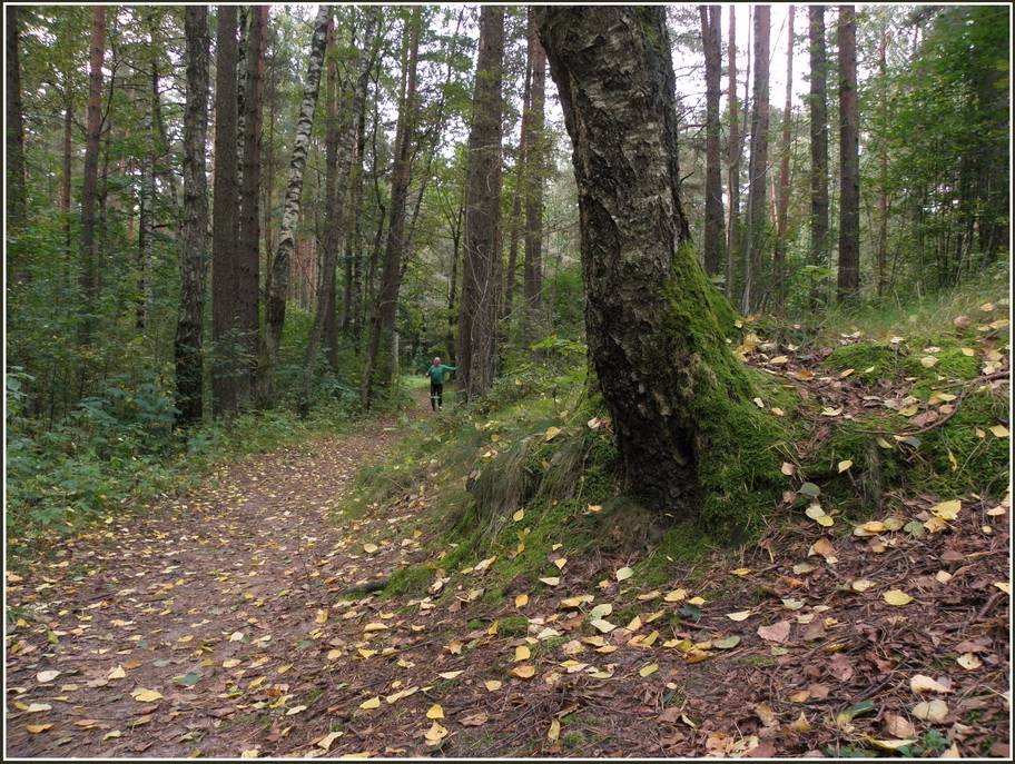 Nedēļas otrajā pusē vietām būs līdz +15 grādiem silts