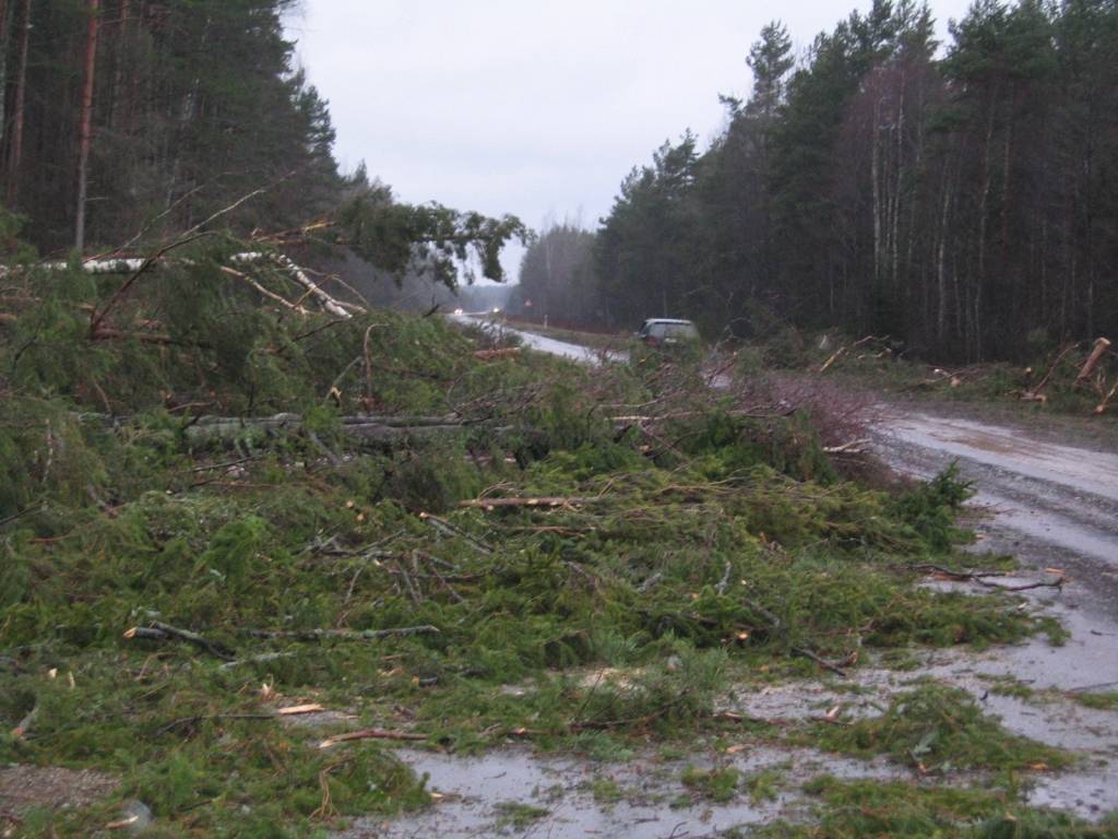 Vētras nolauztie koki no valsts galvenajiem un reģionālajiem autoceļiem ir novākti