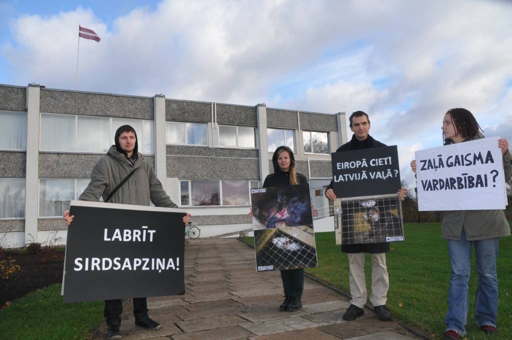 Sāk administratīvo lietvedību par piketu pie Priekules novada domes