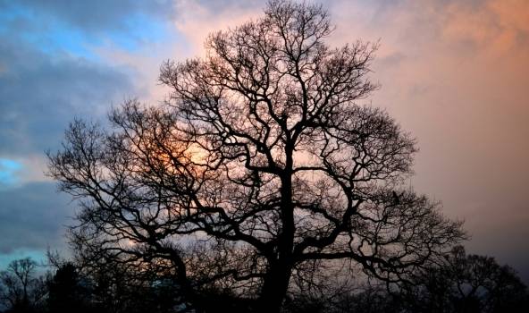 Nedēļa noslēgsies bez nokrišņiem