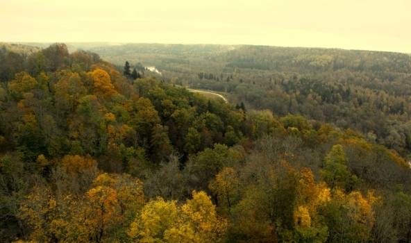 Pirmā sniega kārta Latvijā būs viena no vēlākajām pēdējās desmitgadēs