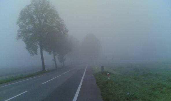 No rīta daudzviet bieza migla; dienā vējš miglu izdzenās