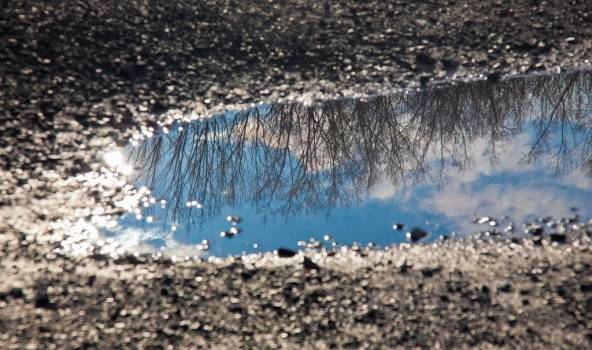 Svētku brīvdienās gaisa temperatūra būs tuvu siltuma rekordiem