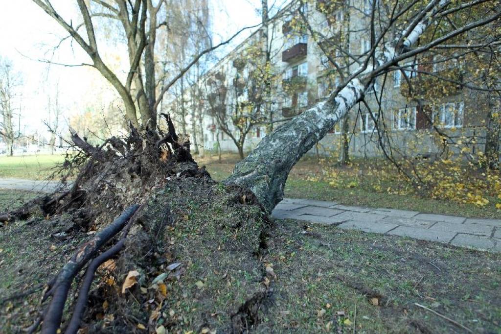 Papildināta - vējš lielākos postījumus nodarījis Ziemeļatvijā un Piejūras reģionā