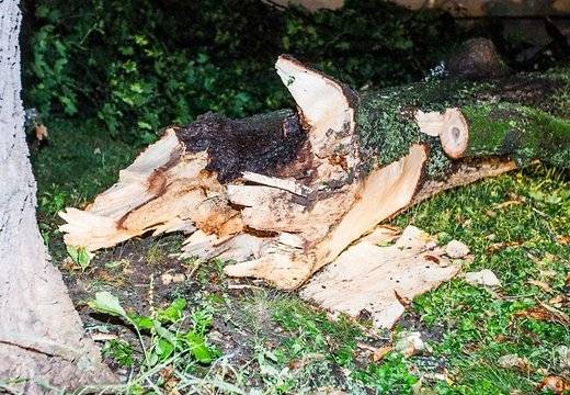 Vētras sekas Liepājā kopumā novērstas