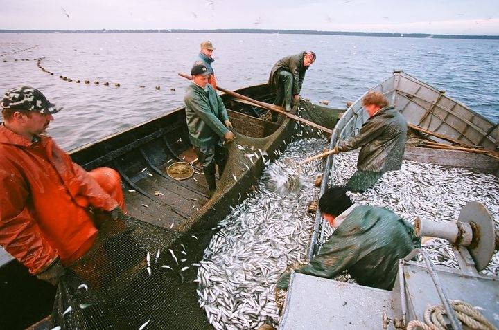 Palielina zvejas limitu Pāvilostas un Ventspils novada zvejniekiem