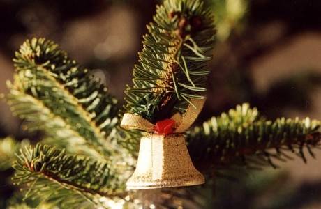 Karostā iedegs Ziemassvētku egli