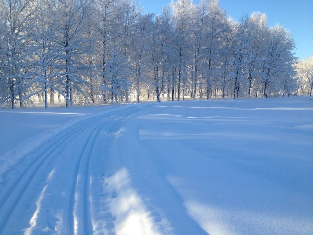 Vaiņodē izveido slēpošanas trasi