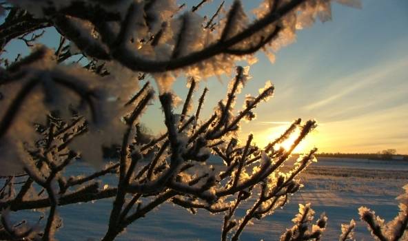  Dažviet sals līdz -15 grādiem; turpmākās 2 nedēļas tik auksts vairs nebūs