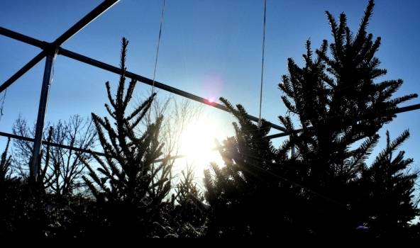 Jaunākā prognoze Ziemassvētkiem: mazāk lietus, vairāk saules