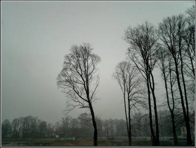 Šogad ziema Latvijā neatnāks