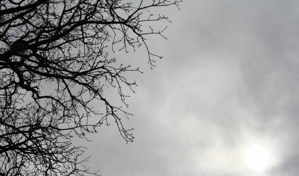 Svētdien Latvijā būs pārsvarā apmācies laiks un daudzviet uzlīs