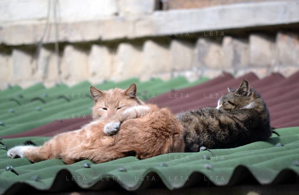 Arī sestdien vairākās novērojumu stacijās pārsniegti gaisa temperatūras rekordi