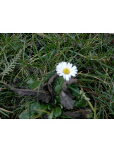 Decembra pēdējā dekāde bijusi siltākā meteoroloģisko novērojumu vēsturē