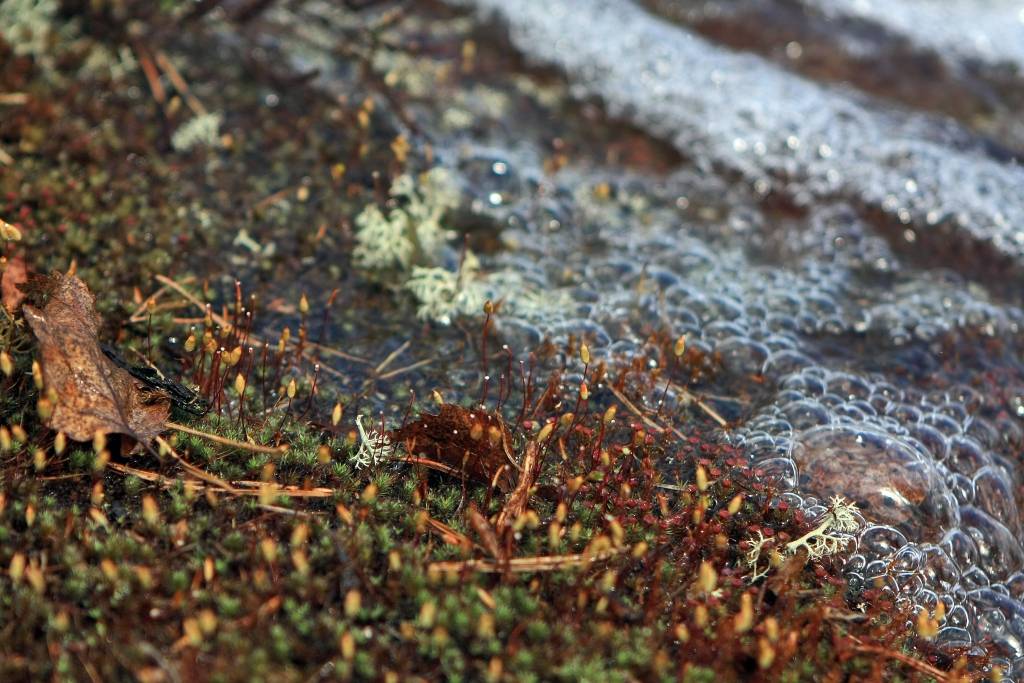 Aizvadītā gada nogale - siltākā Latvijas meteoroloģisko novērojumu vēsturē