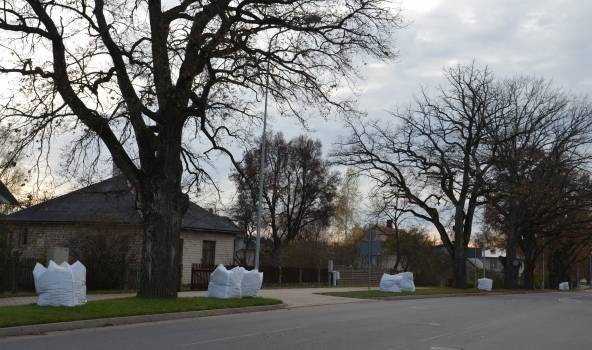 Svētdien būs maz nokrišņu