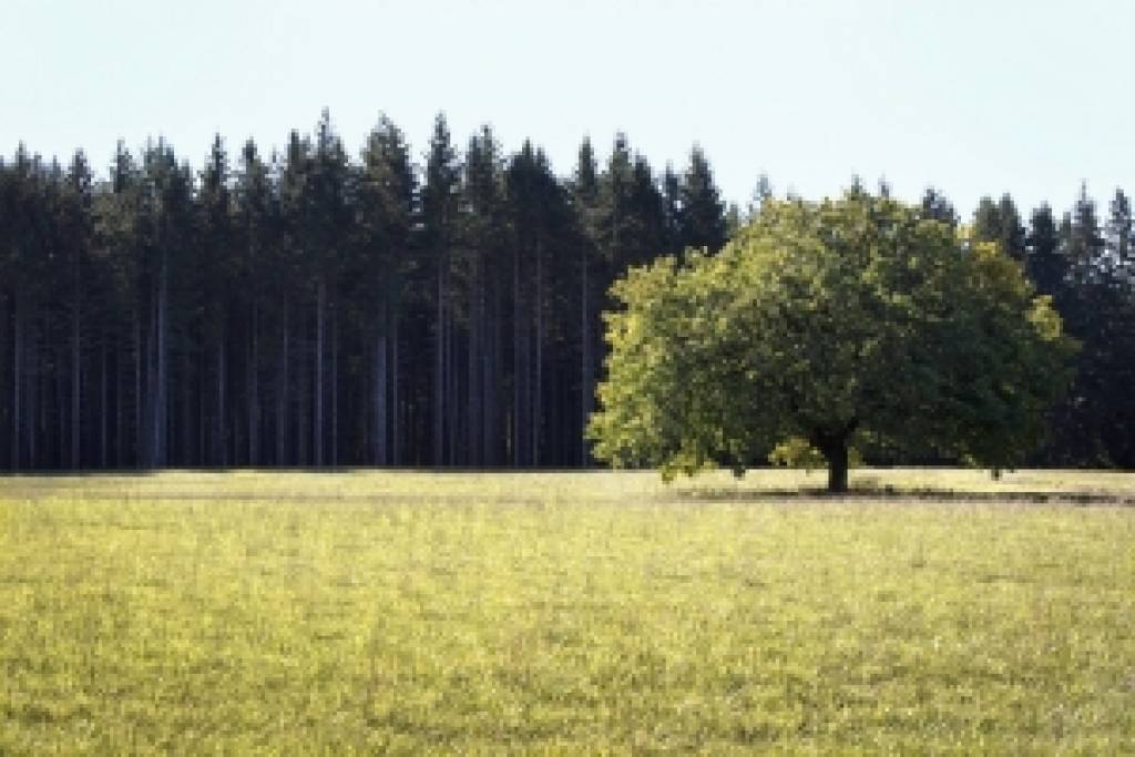 Eksperti paredz lauksaimniecības zemes kā «zelta kapitāla» vērtību