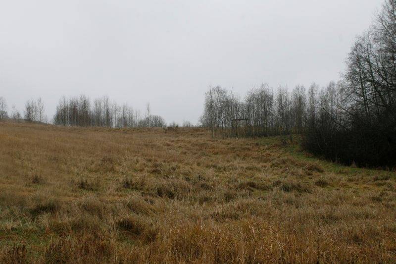 Deputāts: Neapstrādātas zemes nodoklis būtu jāpalielina gadu no gada