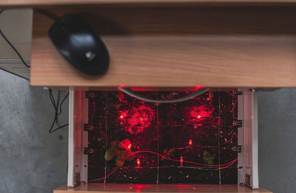 Kandavā apskatāma jauno mediju mākslas izstāde "Sintētiskā Daba"