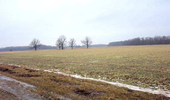Šonedēļ bieži būs nokrišņi, brīvdienās kļūs mazliet aukstāks