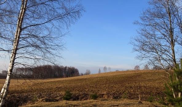 Šī nedēļa būs silta, pirmās dienas arī saulainas