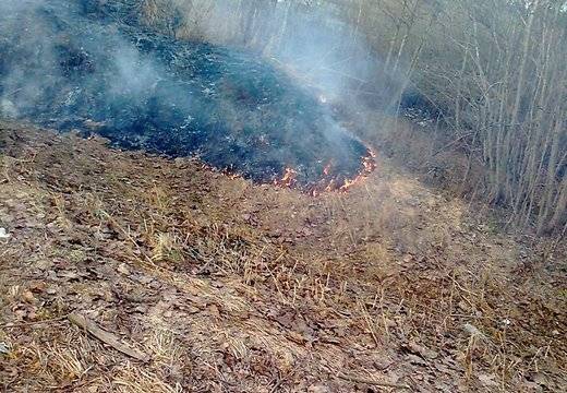 Sākusies aktīvāka kūlas dedzināšana