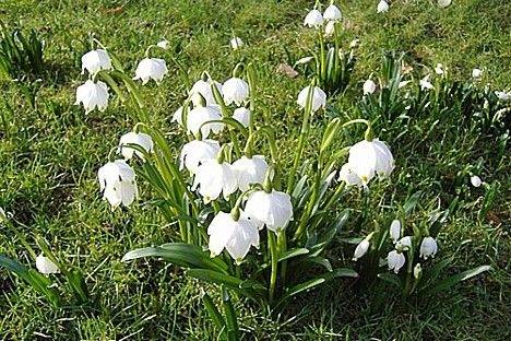 Ziema šosezon vairs neatgriezīsies