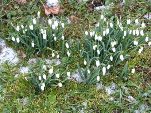 Brīvdienās saulainākais un siltākais laiks būs Kurzemē
