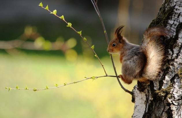 Kurzemē diena būs pavasarīgi silta
