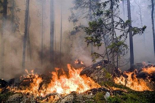 Aizvadītajā diennaktī sākušies plaši mežu ugunsgrēki