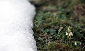 Nedēļas nogalē pavasari nomainīs ziema