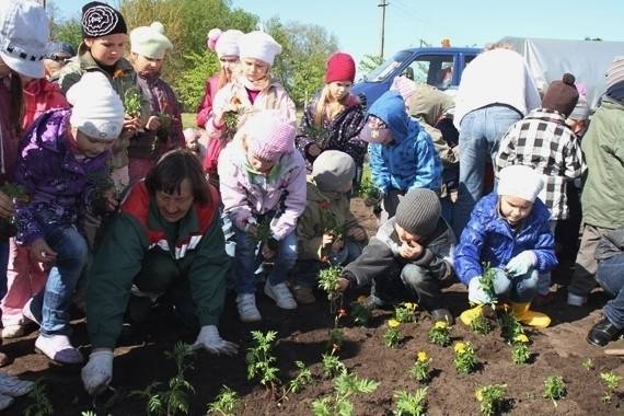 Aicina mazos liepājniekus piedalīties vasaras puķu audzēšanas akcijā