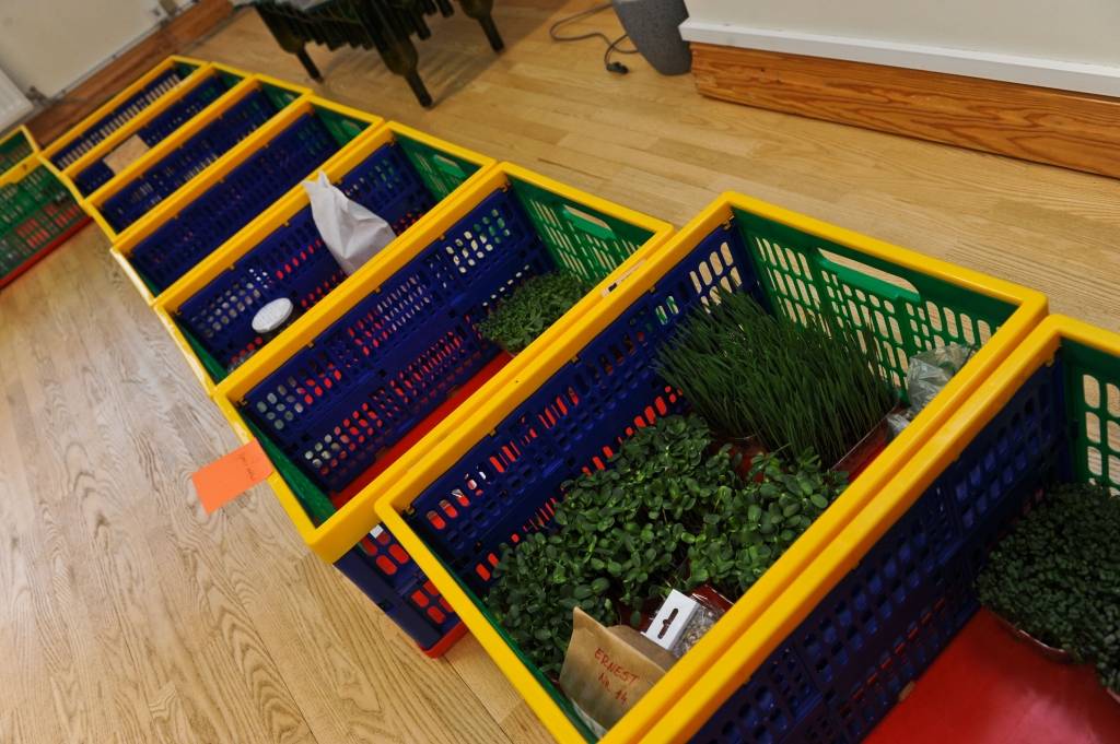 Atrod alternatīvu lielveikalu kultūrai