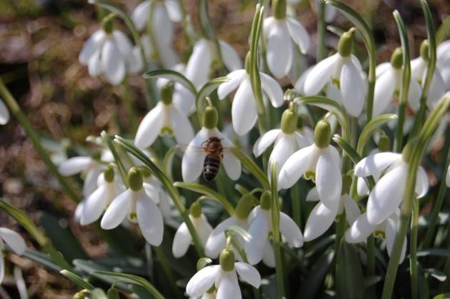 Nedēļas otrajā pusē iestāsies saulains laiks, līdz tam bieži būs nokrišņi