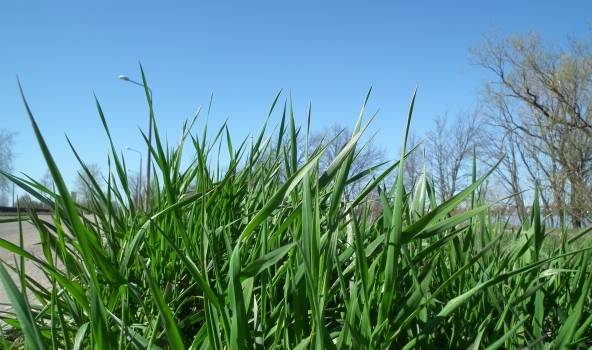 Vietām jūras piekrastē Kurzemē gaidāms jauns 27.marta siltuma rekords