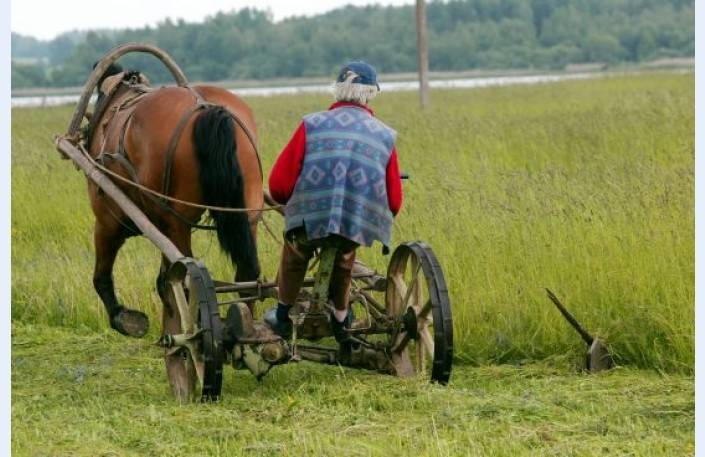Drīz Latvijas zemi varēs pirkt visi
