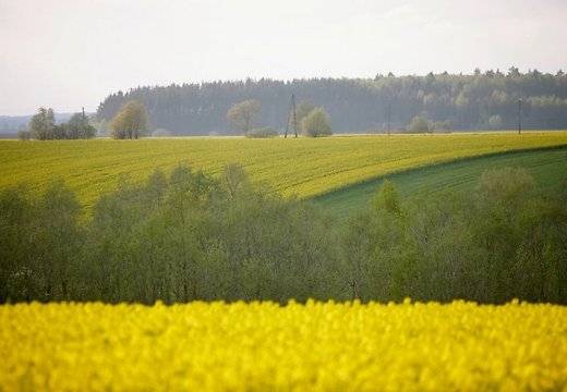 LAD sāk platību maksājumu iesniegumu pieņemšanu