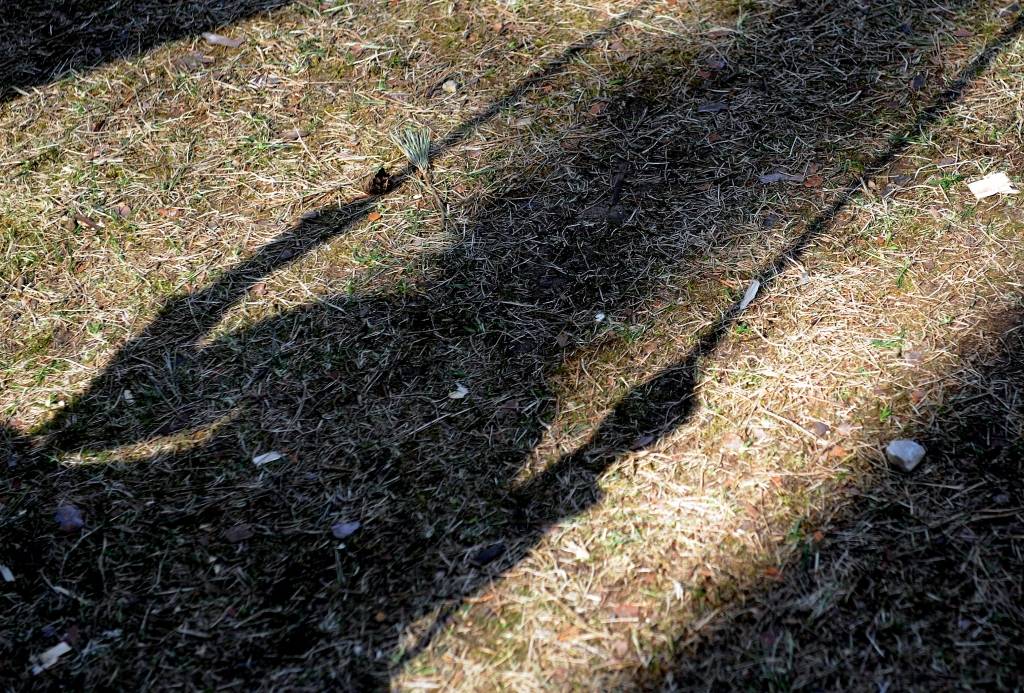 Lieldienās trīs cilvēki traumējas, izkrītot no šūpolēm