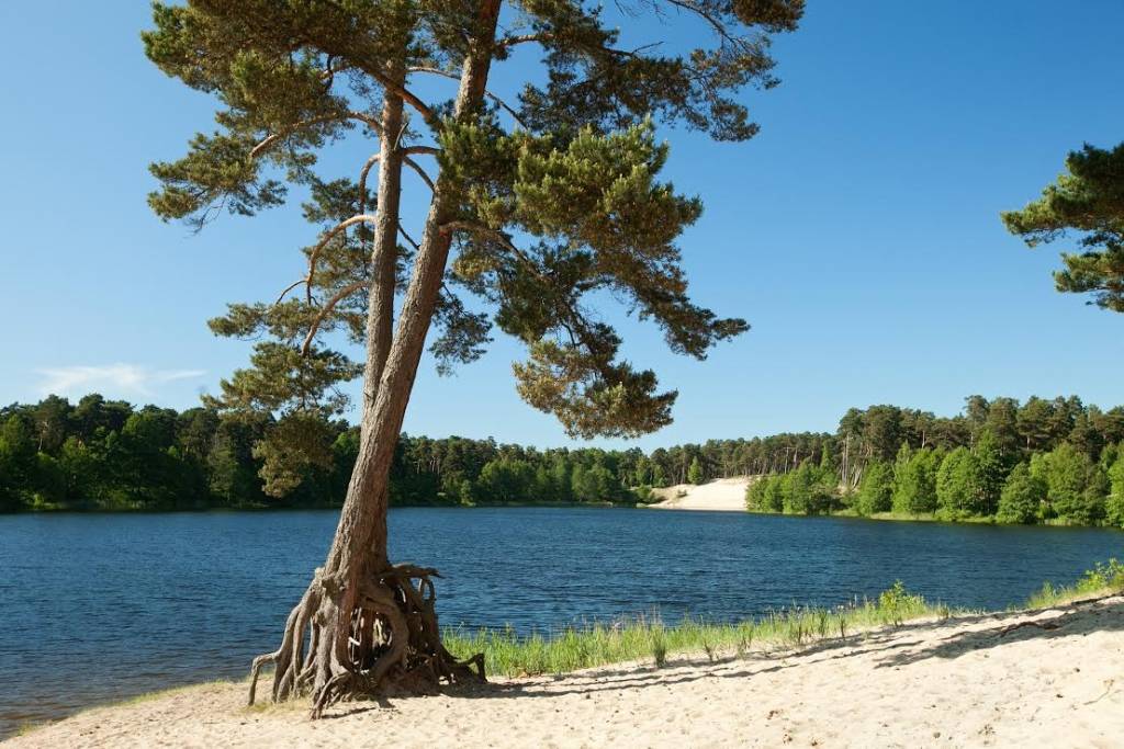 Liepājas "BB wakepark" Lielajā Talkā aicina uz Beberliņiem