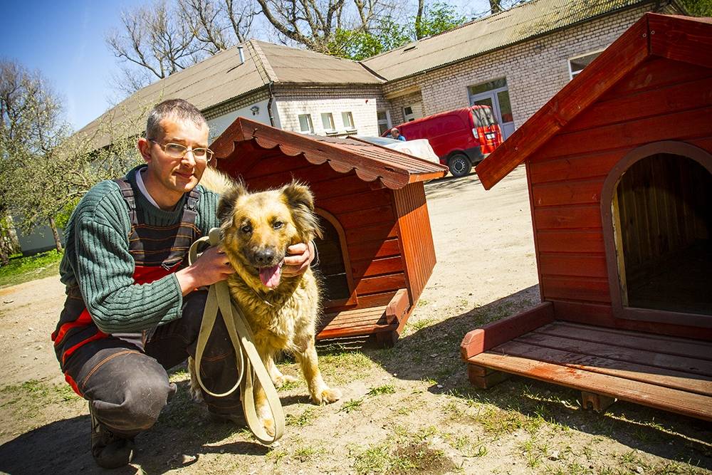Dzīvnieku patversme "Lauvas sirds" dāvinājumā saņem jaunas suņu būdas