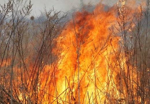 Liepājā deg piecas dārza mājiņas un kūla