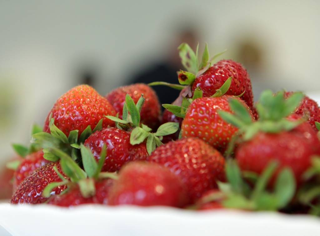 Staļģenē novākta pirmā zemeņu raža, cena - 25 eiro kilogramā